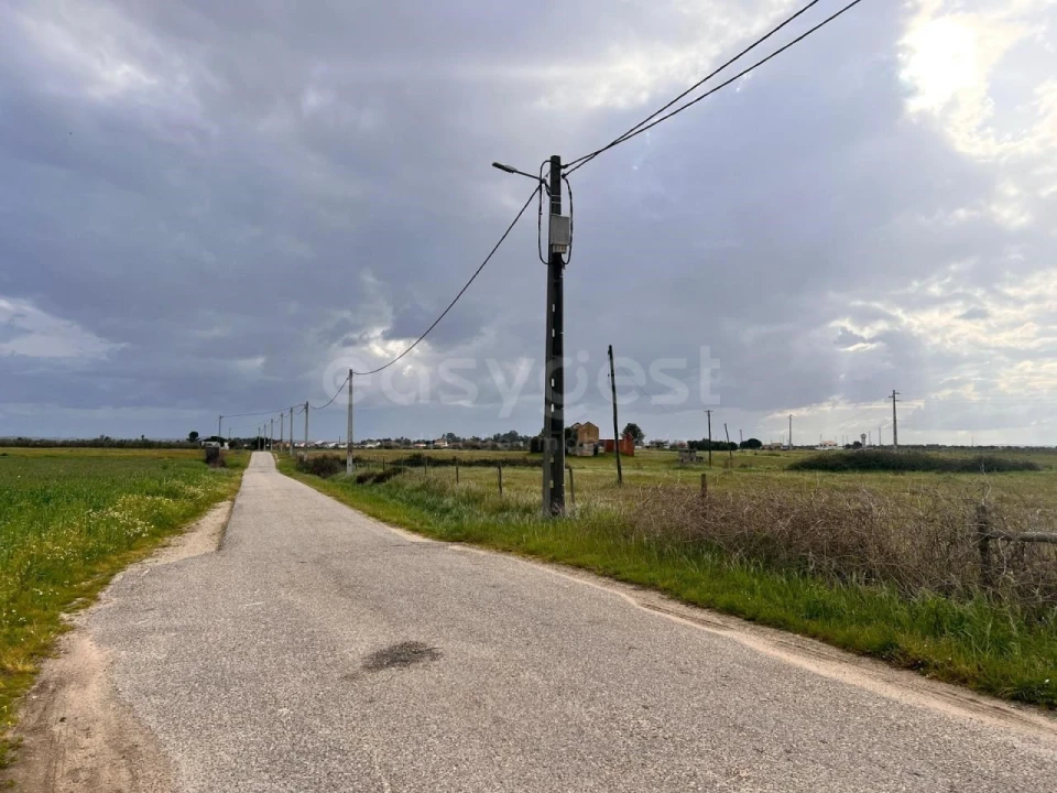 Terreno para Venda em Alpiarça Foto 16