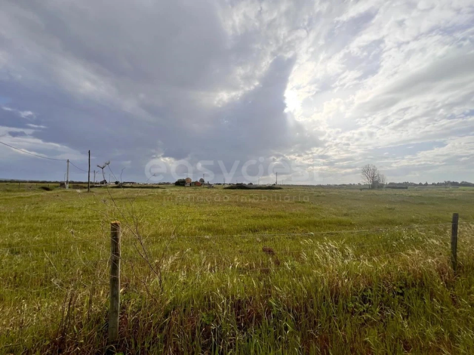 Terreno para Venda em Alpiarça Foto 17