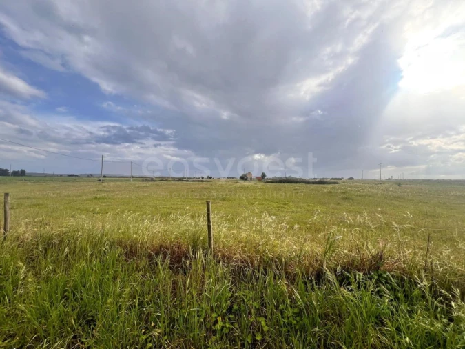 Terreno para Venda em Alpiarça Foto 5
