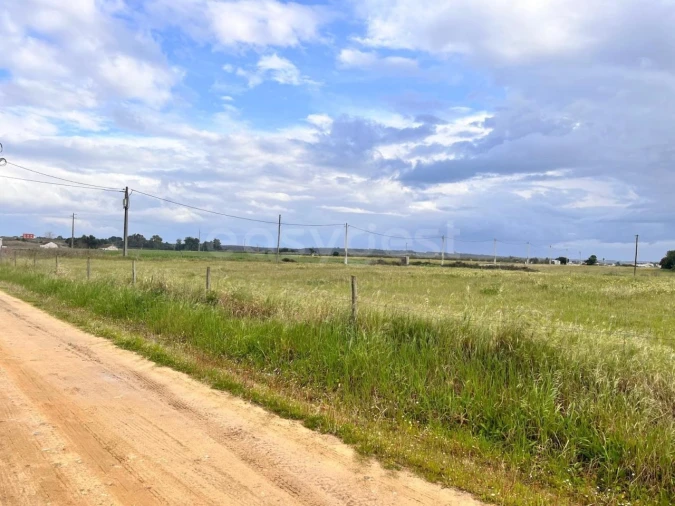 Terreno para Venda em Alpiarça Foto 9