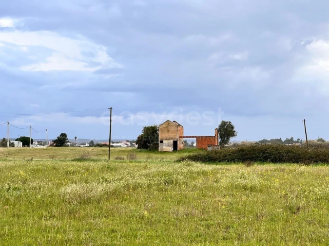 Terreno para Venda em Alpiarça Foto 11