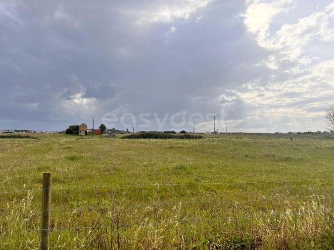 Terreno para Venda em Alpiarça Foto 15