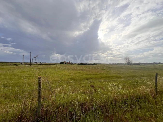 Terreno para Venda em Alpiarça Foto 17