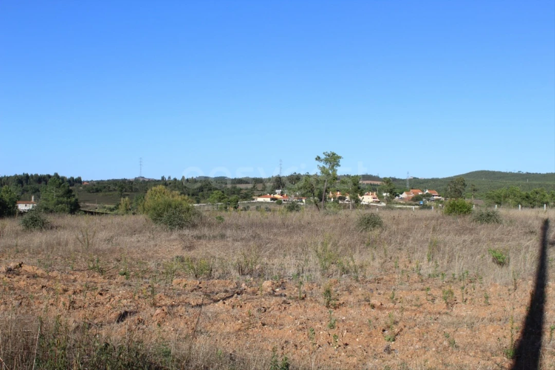 Terreno para Venda em São João Baptista e Santa Maria dos Olivais Foto 3