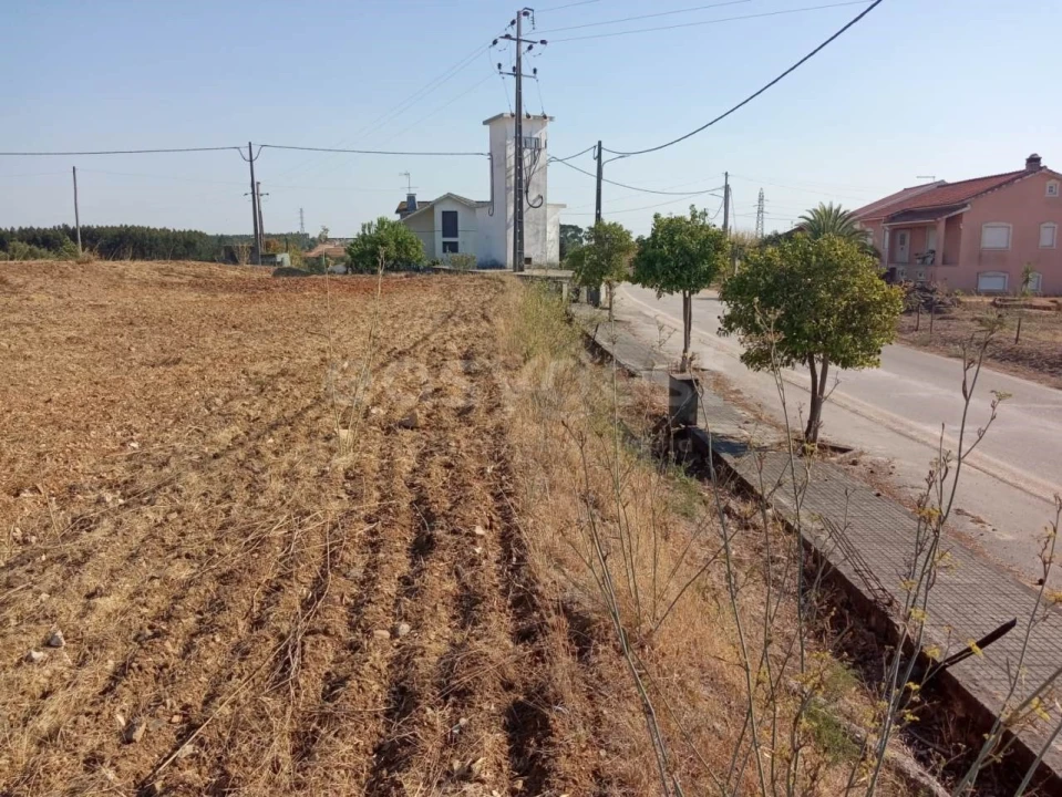 Terreno para Venda em São João Baptista e Santa Maria dos Olivais Foto 5