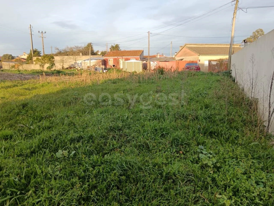 Terreno para Venda em Marinha Grande Foto 8