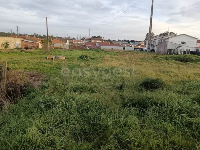 Terreno para Venda em Marinha Grande
