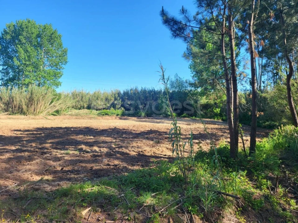 Terreno para Venda em Valado dos Frades Foto 1