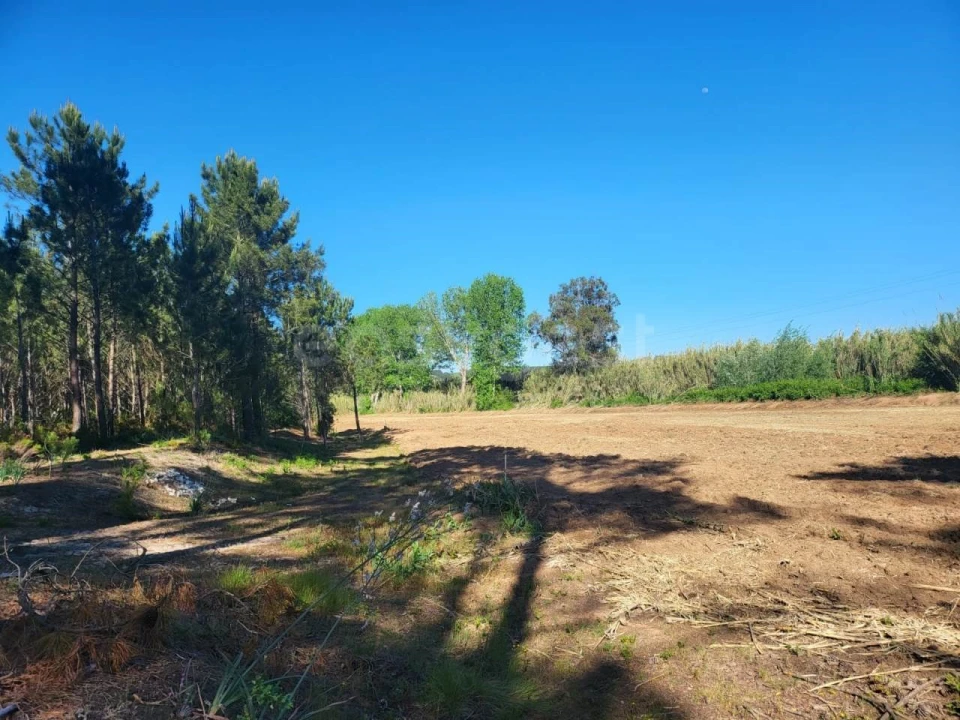 Terreno para Venda em Valado dos Frades Foto 3