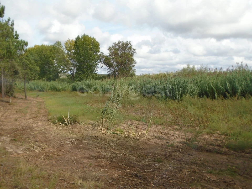 Terreno para Venda em Valado dos Frades Foto 4