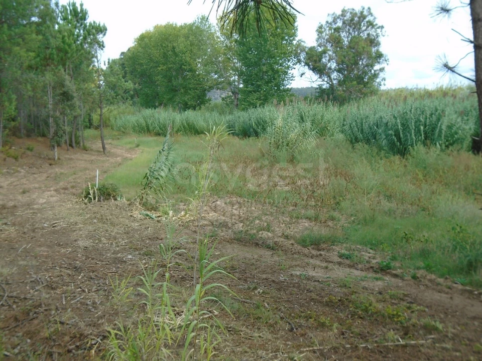Terreno para Venda em Valado dos Frades Foto 5