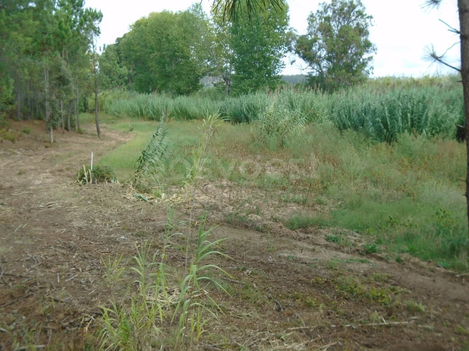 Terreno para Venda em Valado dos Frades Foto 6