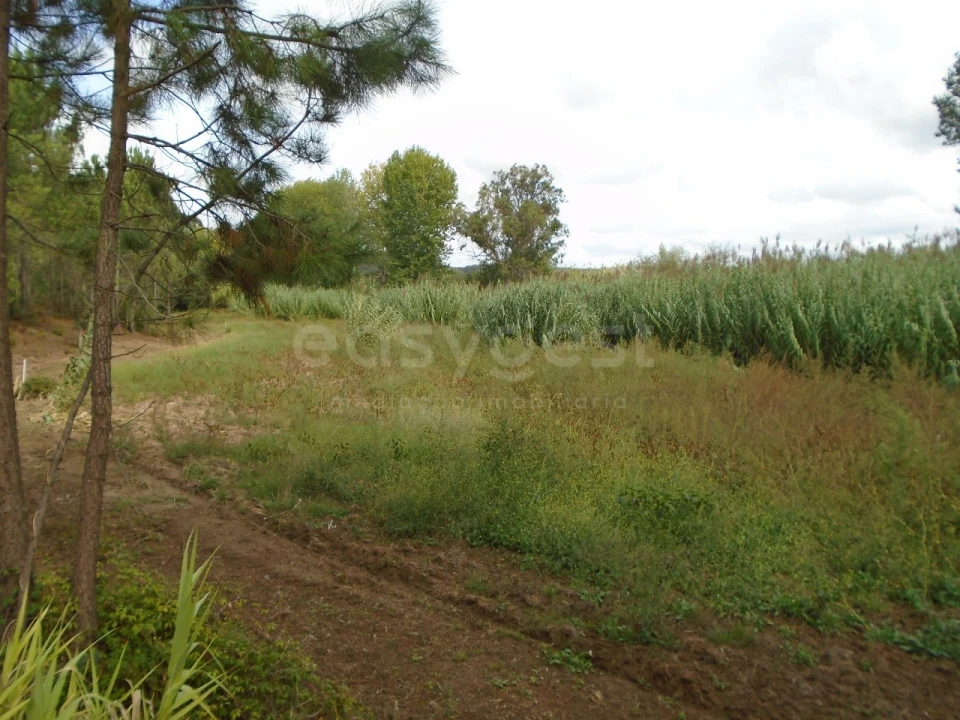 Terreno para Venda em Valado dos Frades Foto 8