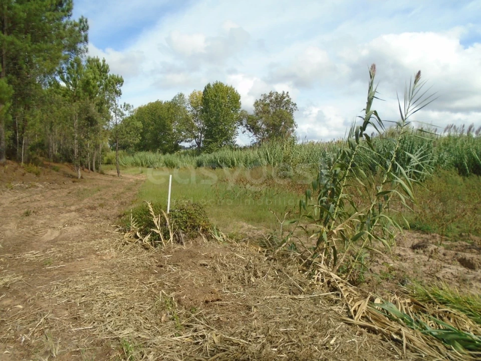 Terreno para Venda em Valado dos Frades Foto 10