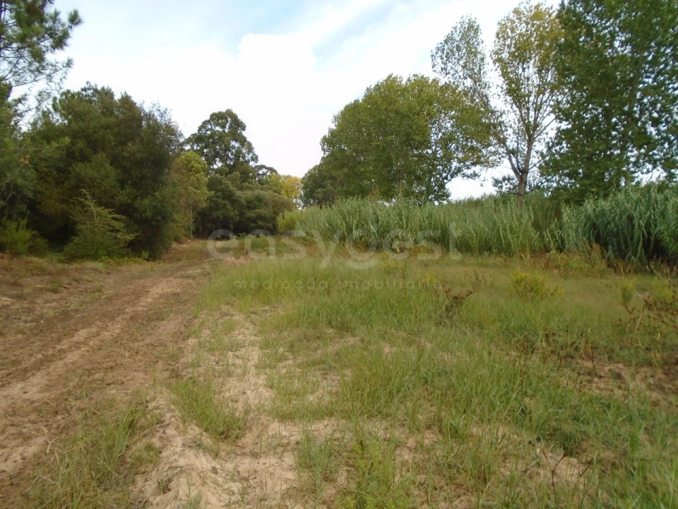 Terreno para Venda em Valado dos Frades Foto 15