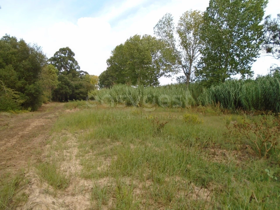 Terreno para Venda em Valado dos Frades Foto 16