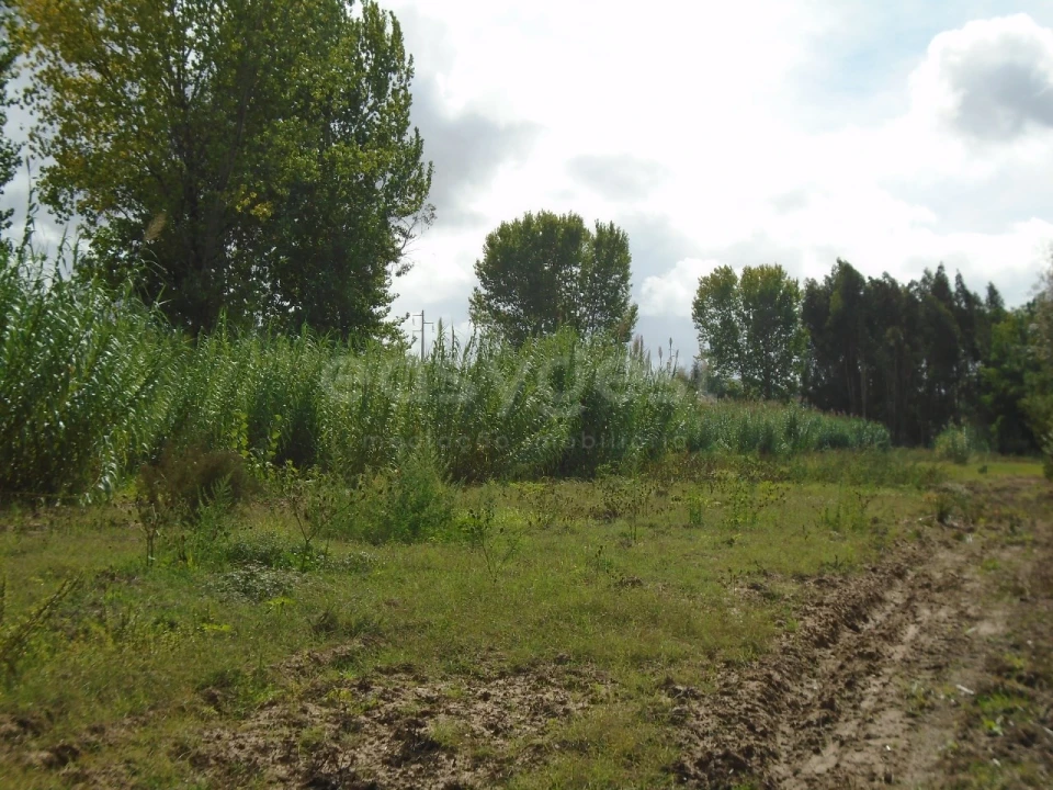 Terreno para Venda em Valado dos Frades Foto 18
