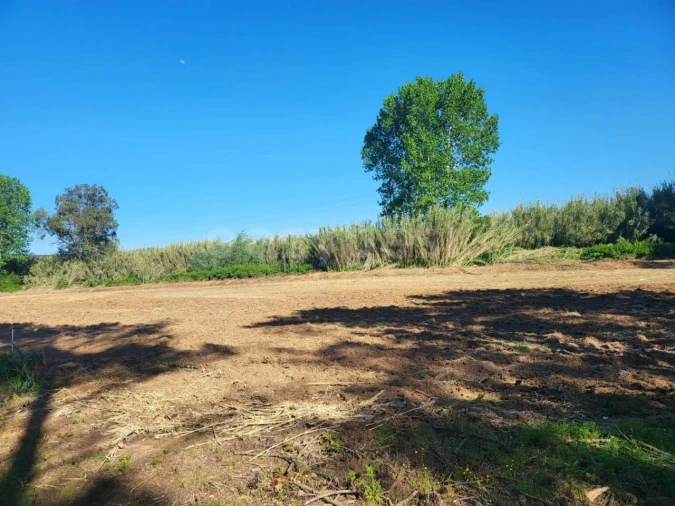 Terreno para Venda em Valado dos Frades Foto 2