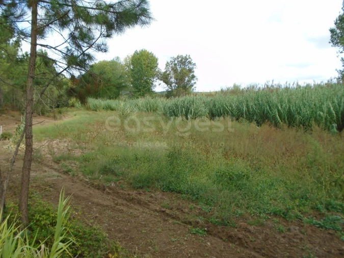 Terreno para Venda em Valado dos Frades Foto 7