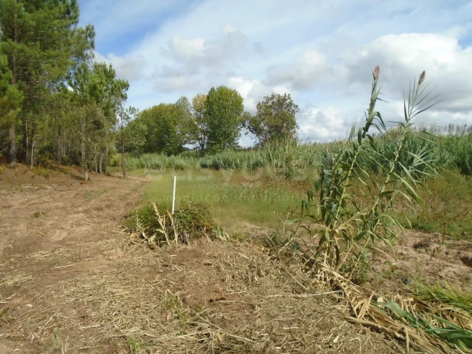 Terreno para Venda em Valado dos Frades Foto 9
