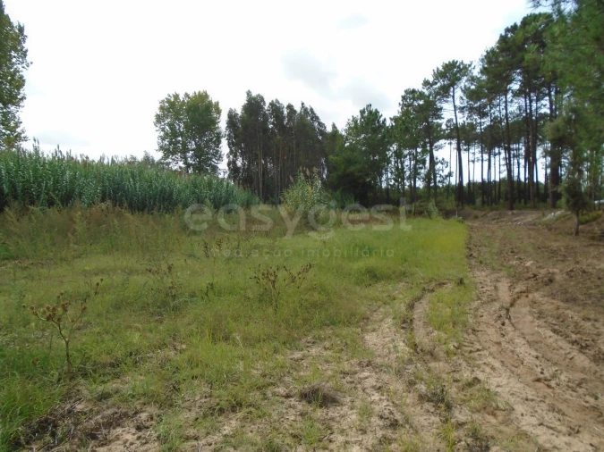Terreno para Venda em Valado dos Frades Foto 12