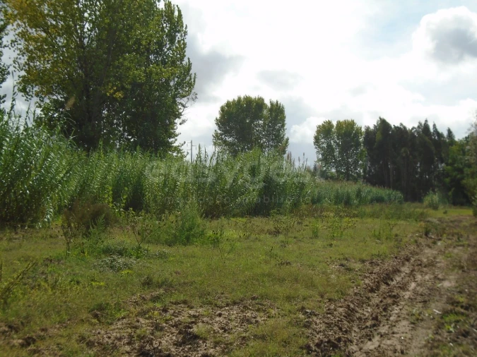 Terreno para Venda em Valado dos Frades Foto 18
