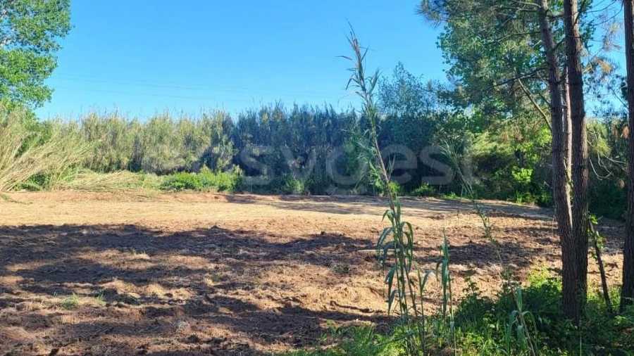Terreno para Venda em Valado dos Frades