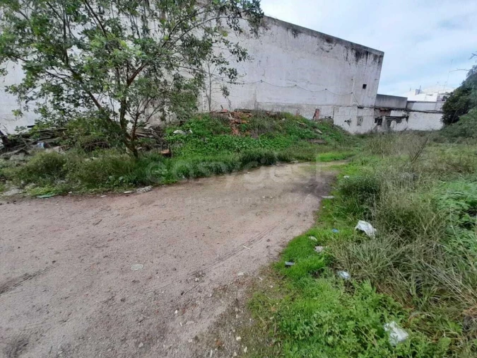 Terreno para Venda em Beja (Santiago Maior e São João Baptista) Foto 6