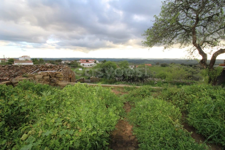 Terreno para Venda em Giões Foto 3