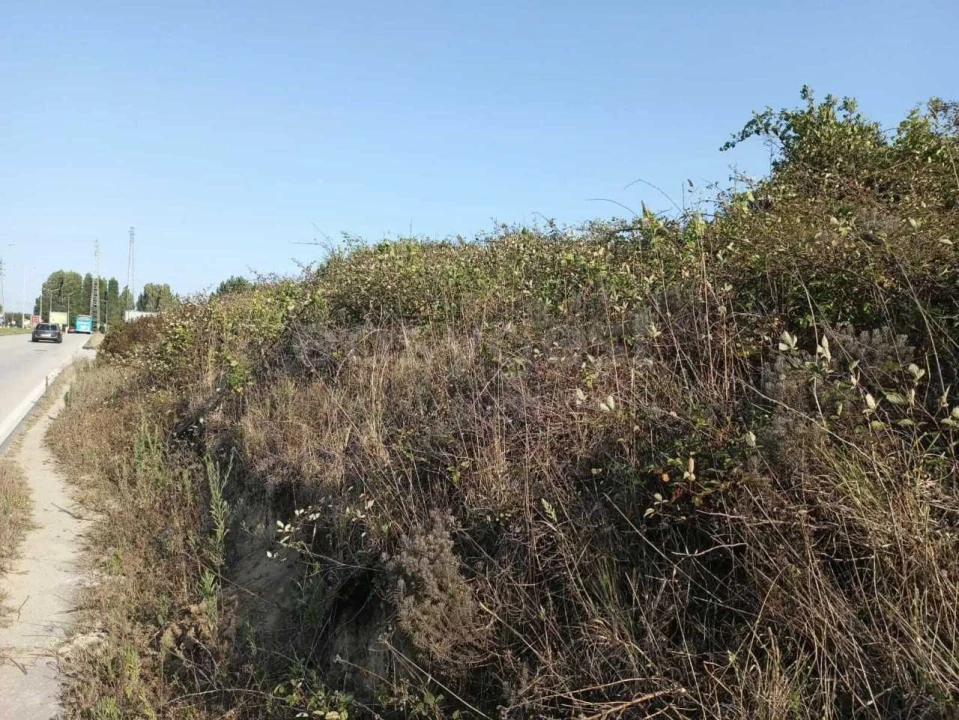 Terreno para Venda em Esgueira Foto 2