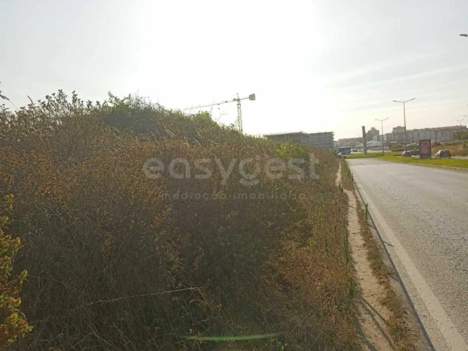 Terreno para Venda em Esgueira Foto 1