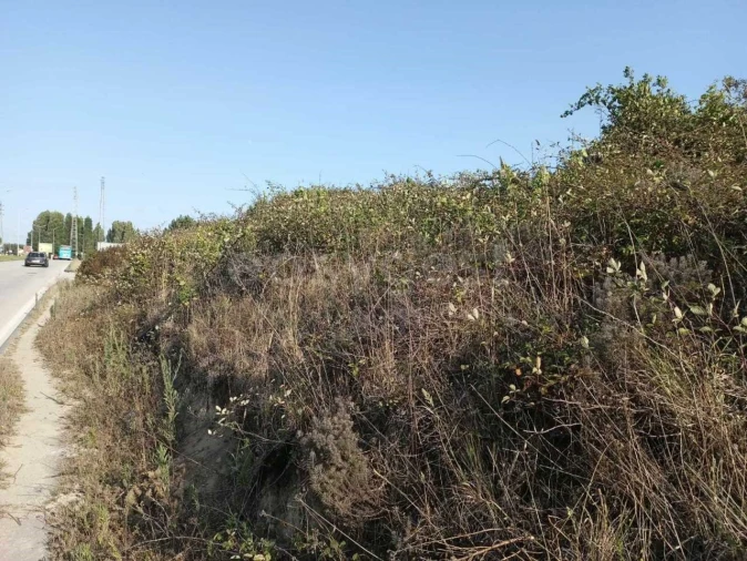 Terreno para Venda em Esgueira Foto 2