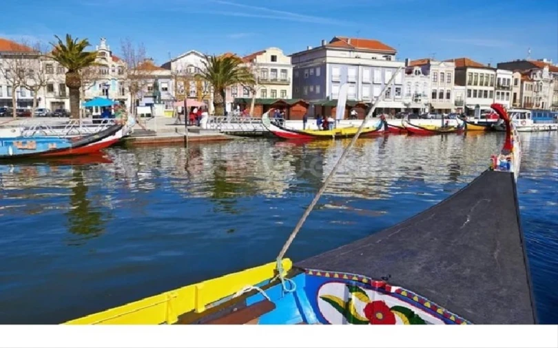 Terreno para Venda em Esgueira Foto 10
