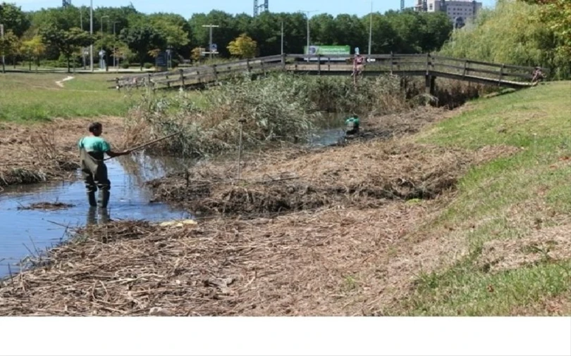 Terreno para Venda em Esgueira Foto 11
