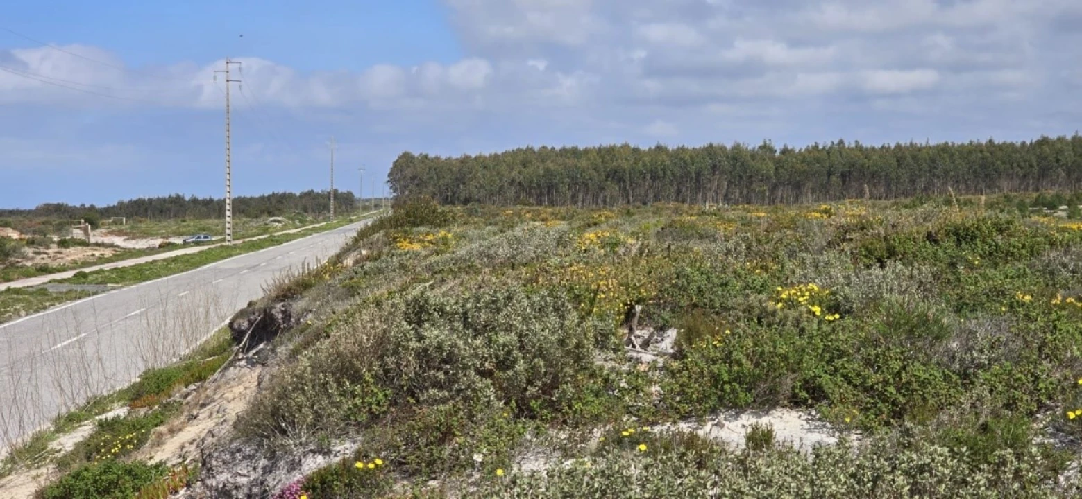 Terreno para Venda em Pataias e Martingança Foto 2