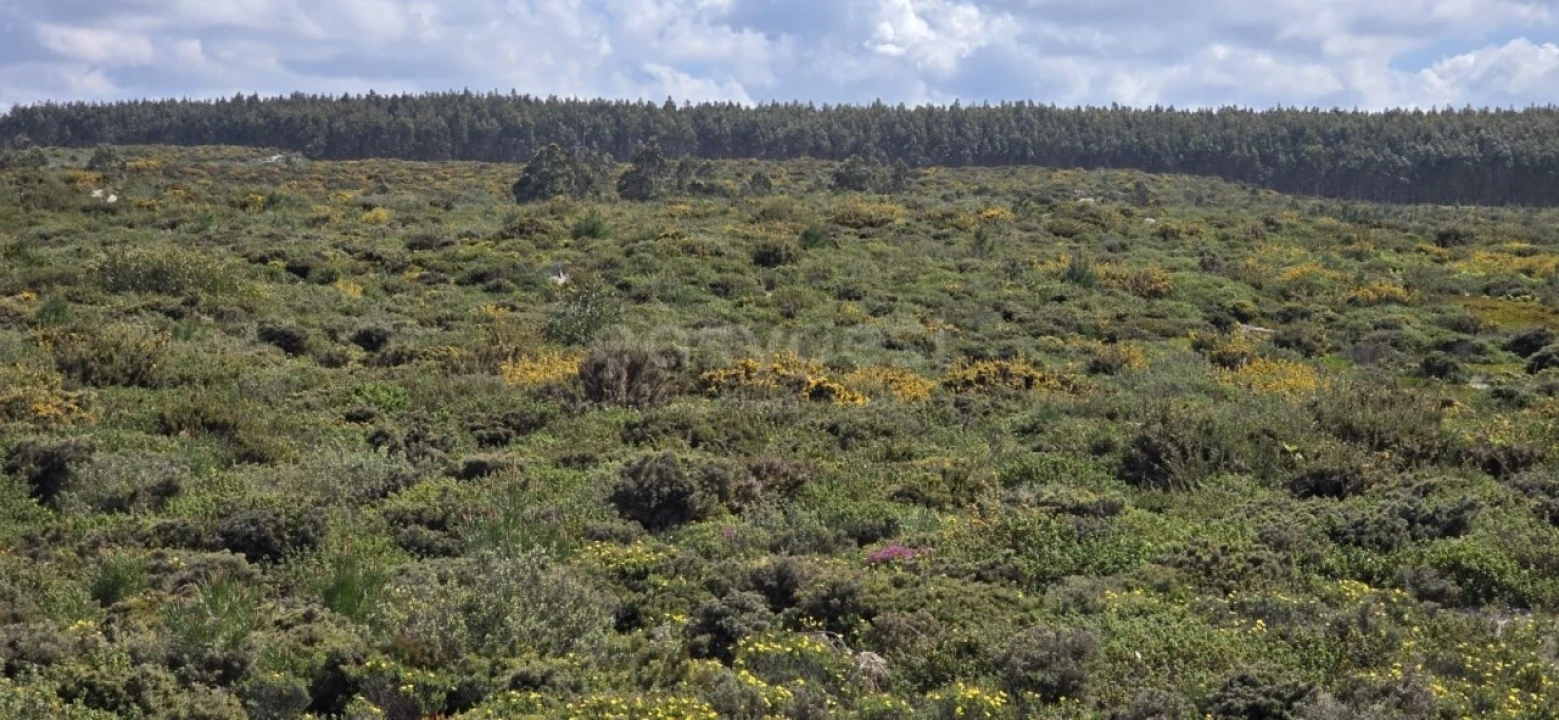 Terreno para Venda em Pataias e Martingança Foto 8