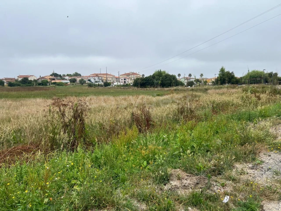 Terreno para Venda em Calvaria de Cima Foto 4