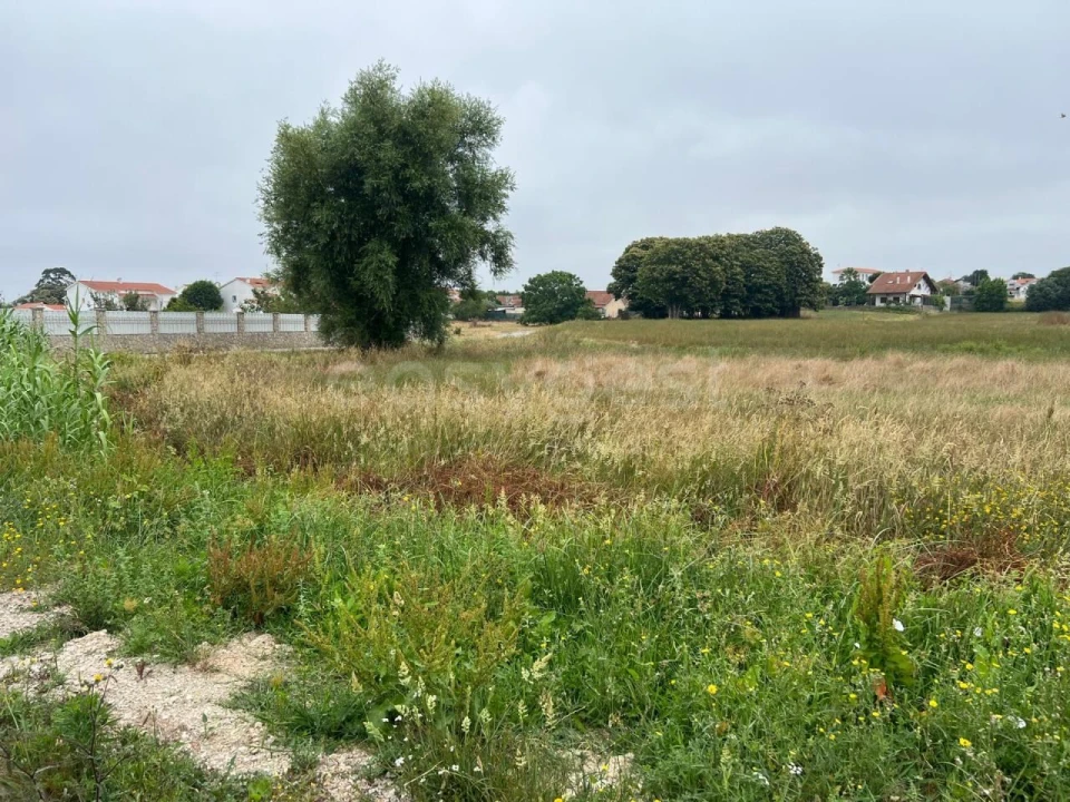 Terreno para Venda em Calvaria de Cima Foto 9