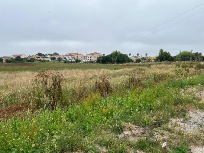 Terreno para Venda em Calvaria de Cima Foto 4