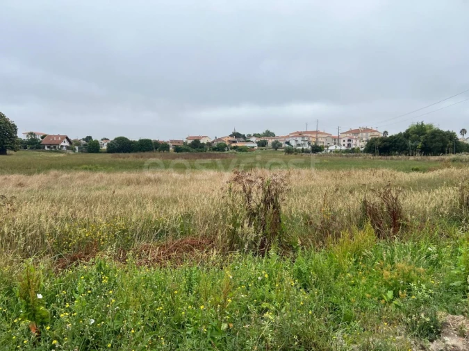 Terreno para Venda em Calvaria de Cima Foto 7