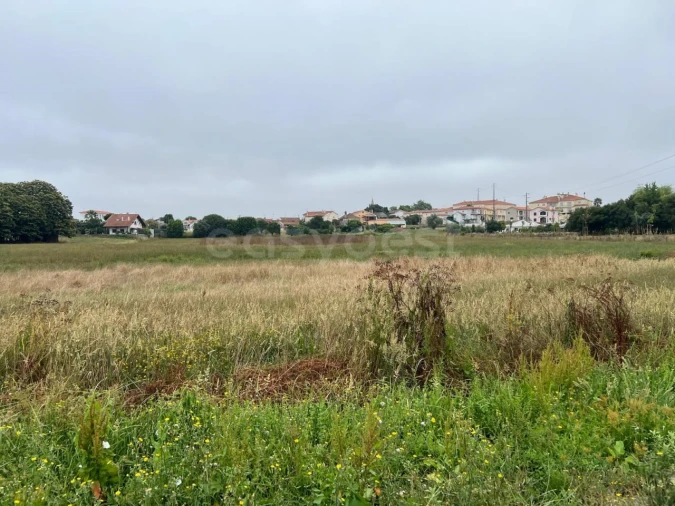 Terreno para Venda em Calvaria de Cima Foto 8