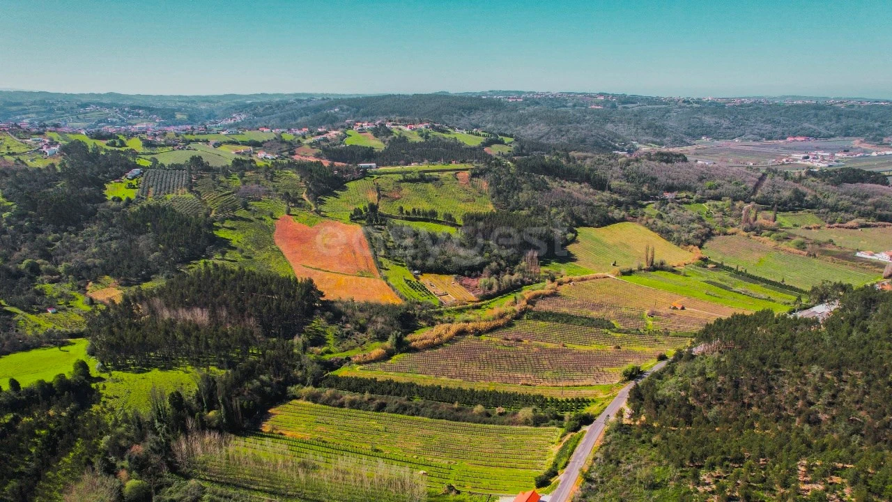 Terreno para Venda em Maiorga Foto 5