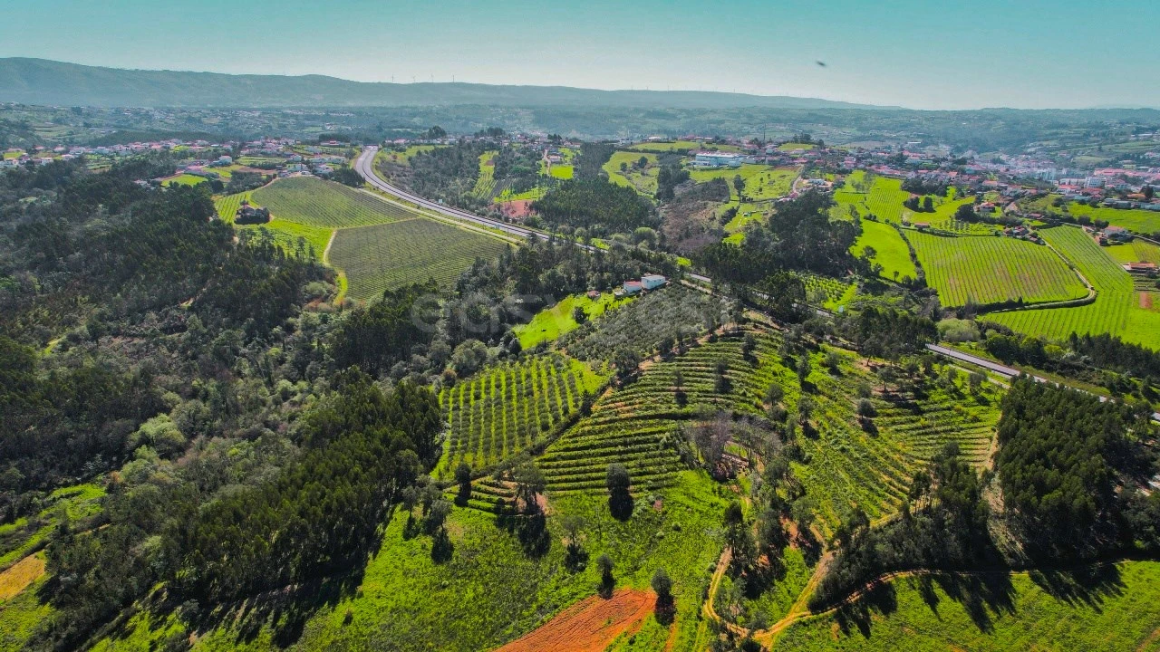 Terreno para Venda em Maiorga Foto 7