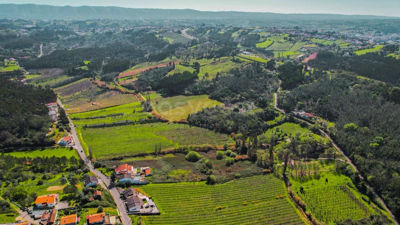 Terreno para Venda em Maiorga Foto 8