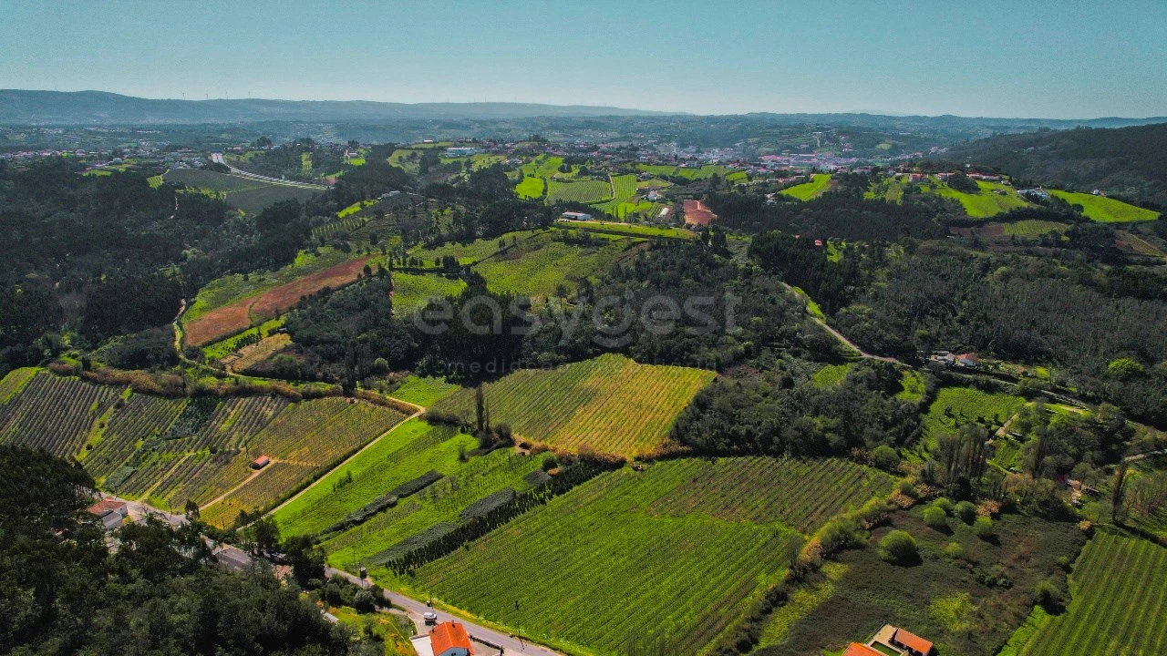 Terreno para Venda em Maiorga Foto 15