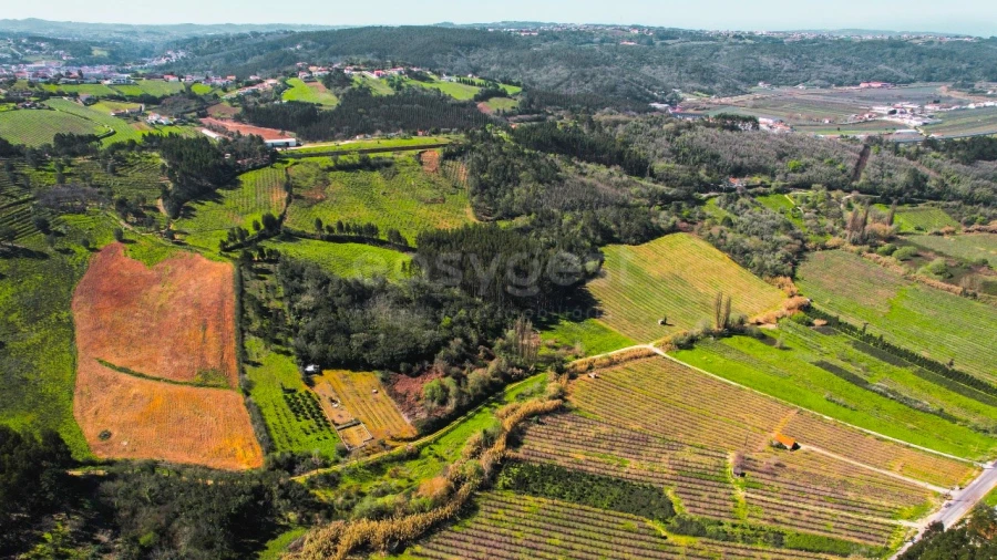 Terreno para Venda em Maiorga Foto 6