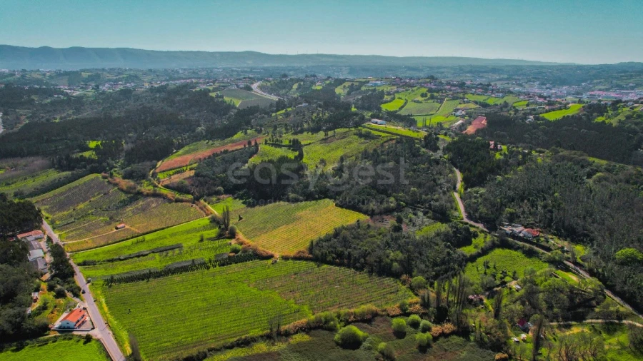 Terreno para Venda em Maiorga Foto 12