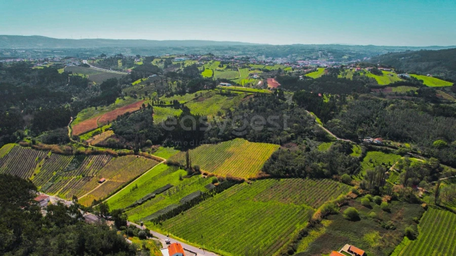 Terreno para Venda em Maiorga Foto 14
