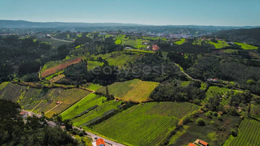 Terreno para Venda em Maiorga Foto 15
