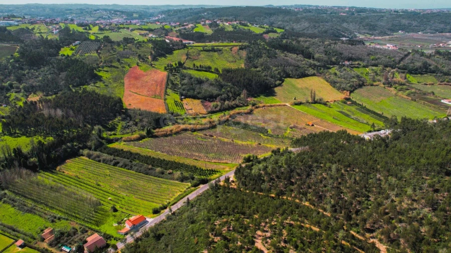 Terreno para Venda em Maiorga Foto 16